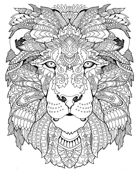 awesome animals adult coloring book coloring pages  lion coloring