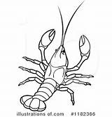 Clipart Crawdad Crawfish Drawing Pages Illustration Coloring Template Louisiana Line Royalty Trap Crab Perera Lal Getdrawings Sketch Lobster sketch template