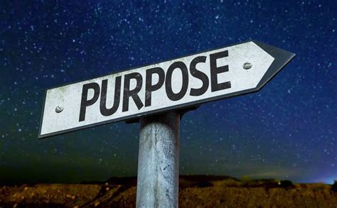 importance  purpose