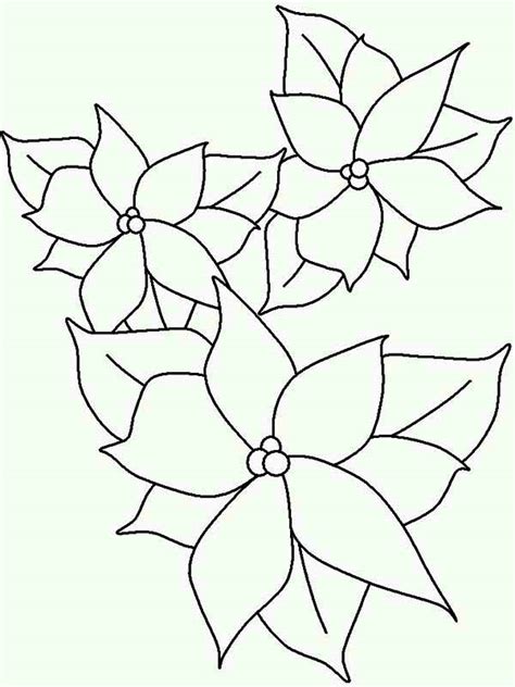 poinsettia lineart  national poinsettia day coloring page netart