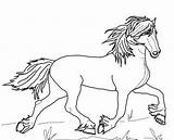 Paarden Pony Kleurplaten Kleurplaat sketch template