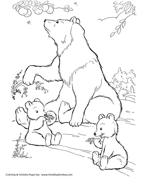 wild animal coloring pages wild bears eating berries coloring page