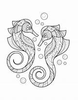Seahorse Coloring Clic Fai Ingrandire sketch template