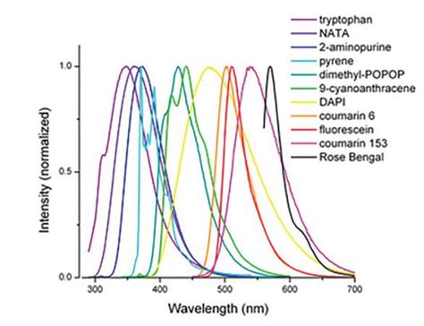 fluorescence spectroscopy