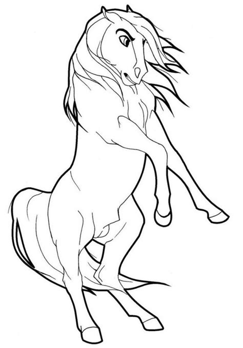 wild horses coloring pages coloring home