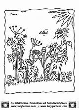 Coloring Garden Pages Flower Popular Printable sketch template