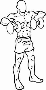 Drawing Workout Dumbbell Getdrawings sketch template