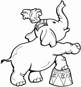 Elephants Bestappsforkids Nitro Netart sketch template