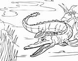 Aligator Alligator Kolorowanki Crocodile Pobrania Bestcoloringpagesforkids Dzieci Getdrawings Pobierz Drukuj sketch template