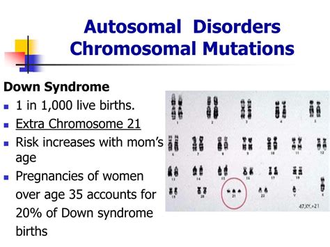 Ppt Genetic Disorders Powerpoint Presentation Free