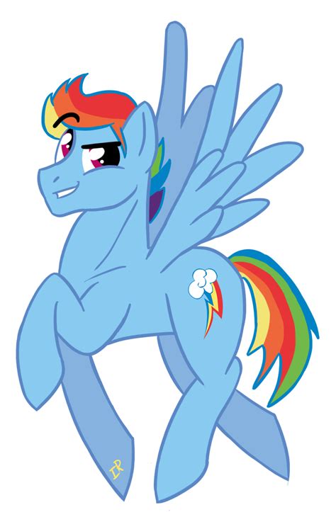 339494 Safe Artist Ordinarydraw Rainbow Dash Rainbow Blitz Rule