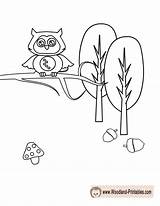 Coloring Woodland Pages Owl Animal Printable Animals Cute Printables Getcolorings Color sketch template