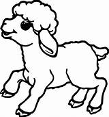 Sheep Drawing Drawings Coloring Cartoon Paintingvalley Kids Pages sketch template