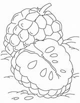 Apple Custard Coloring Pages Tropical Kids Popular sketch template