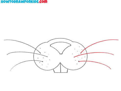draw  bunny nose  mouth easy drawing tutorial  kids