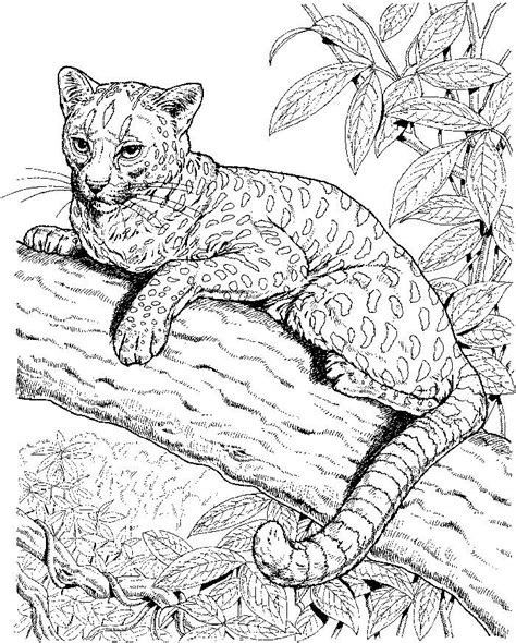 leopard coloring pages printable   coloring sheets mermaid