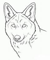 Coyote Draw Coyotes Prairie Tekeningen Lobo sketch template