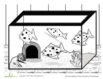 fish tank coloring page fish tanks worksheets  fish