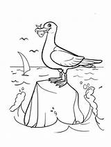 Coloring Pages Seagull Birds Recommended Seagulls Printable sketch template