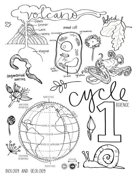 coloring pages science  printable