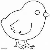 Chick Chicken Coloring Outline Pages Printable Baby Kids Colouring Drawing Simple Sheets Print Animal Template Chickens Cartoon Color Hen Templates sketch template