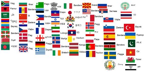 flag   respective languages vexillology