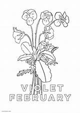 Flower February Violet Birth Coloring Background Printing Instructions sketch template
