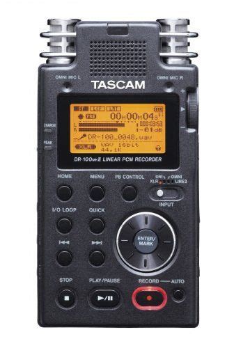 tascam dr 100mkii probably not suitable for anthros and