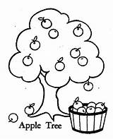 Apple Tree Coloring Pages Fruit Drawing Orchard Picking Line Color Printable Preschool Branch Print Style Getdrawings Getcolorings Realistic Artikel Coloringpagesfortoddlers sketch template