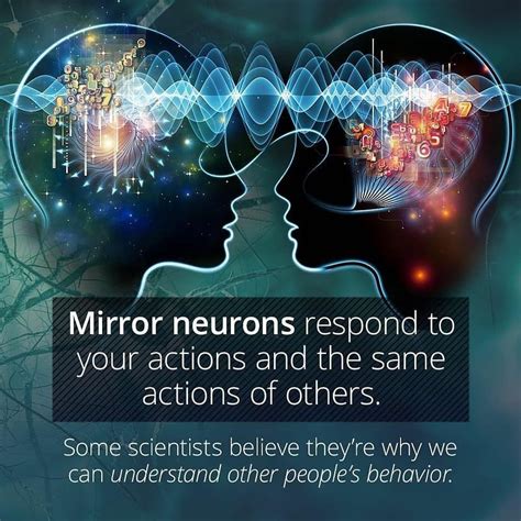 people  facing     words mirror neurons respond