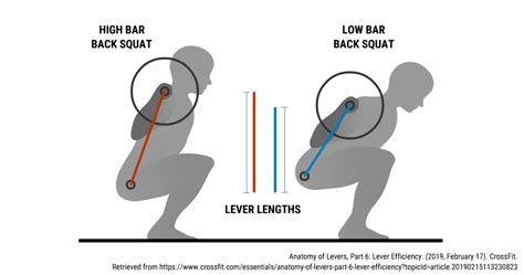 high bar   bar squat powerlifting program secret physiqz