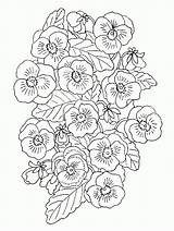 Silvestres Blumen sketch template