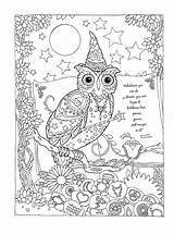 Coloring Pages Crayola Adult Adults Owl Hope Frog Mushroom Disney Christmas Trippy Steampunk Kelso Choices Cool Corgi Phoenix Sports Detailed sketch template