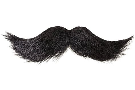 fake mustache stock  pictures royalty  images istock