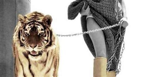 Tigers On A Gold Leash My Style Pinterest