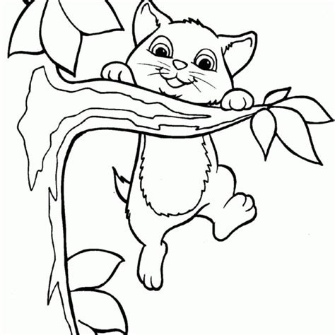 cat coloring pages