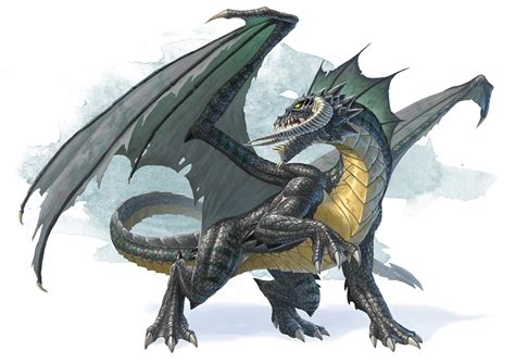 ancient black dragon monsters dd