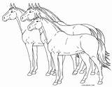 Ausmalbilder Pferde Malvorlagen Pferden Ausdrucken Kostenlos Cool2bkids sketch template