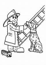 Firefighter Coloring4free Dalmatian Fireman Colouring Letzte sketch template