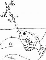 Coloring Fish Pages Kids Archer Printable Archerfish Getdrawings Getcolorings sketch template