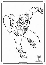 Spiderman Coloring Pages Superhero Printable sketch template