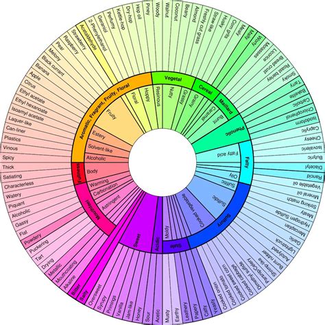 beer flavor wheel infographic flavoured delights