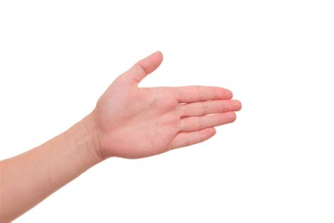 hand palm guide  photo  pixabay