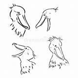 Shoebill Heron sketch template