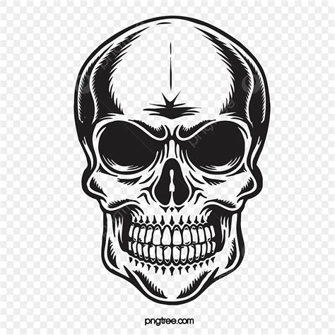 skull front vector hd images black skull front image skull drawing skull sketch skull