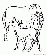 Fohlen Pferd Stute Ausmalbilder Malvorlagen sketch template