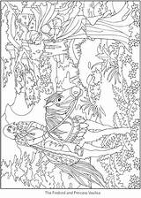 Coloring Doverpublications Dover Publications Fairy Welcome Pages Enchanting Tale Ch Scenes sketch template