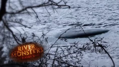 loch ness monster sighting river monsters youtube