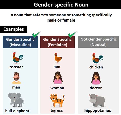 top   examples  masculine  feminine gender  animals