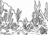 Reef Coral Coloring Pages Barrier Ecosystem Great Ocean Fish Plants Sea Drawing Octopus Grassland Habitat Kids Desert Waiting Printable Swordfish sketch template